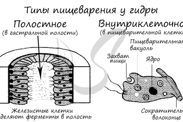 Кракен сайт наркотиков